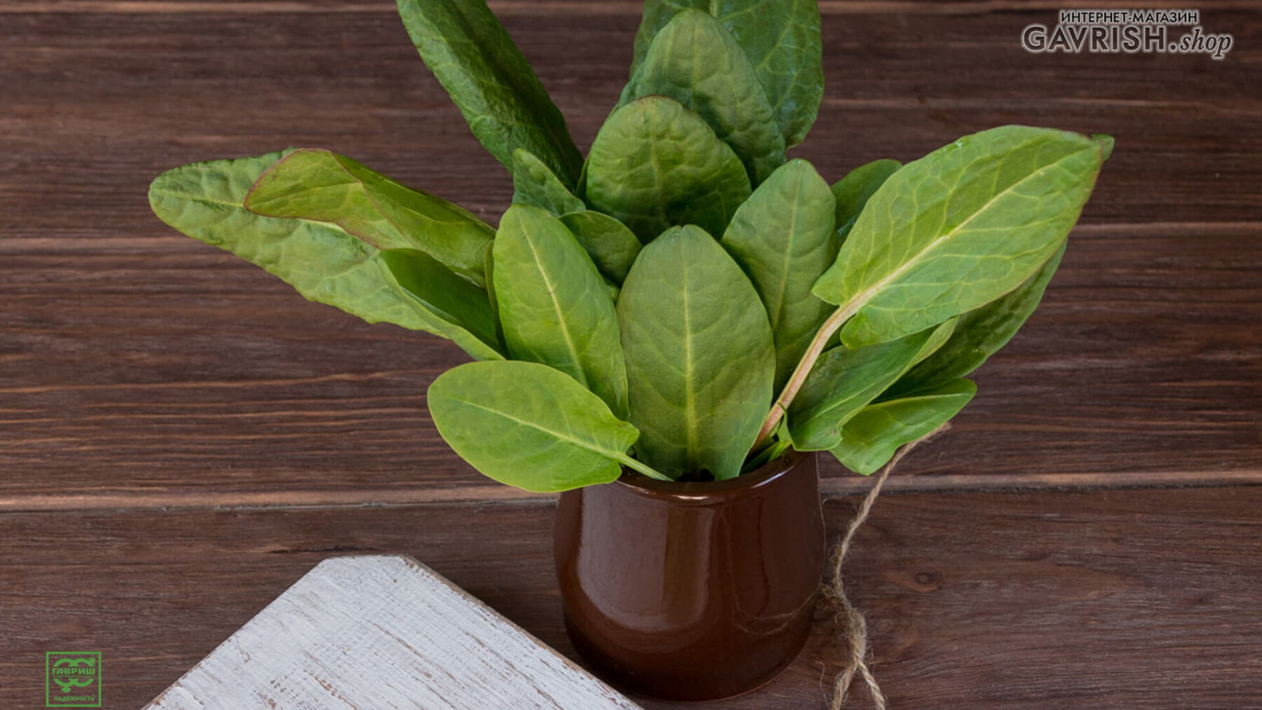 Бэби-лиф – молодые листики салата и зеленных