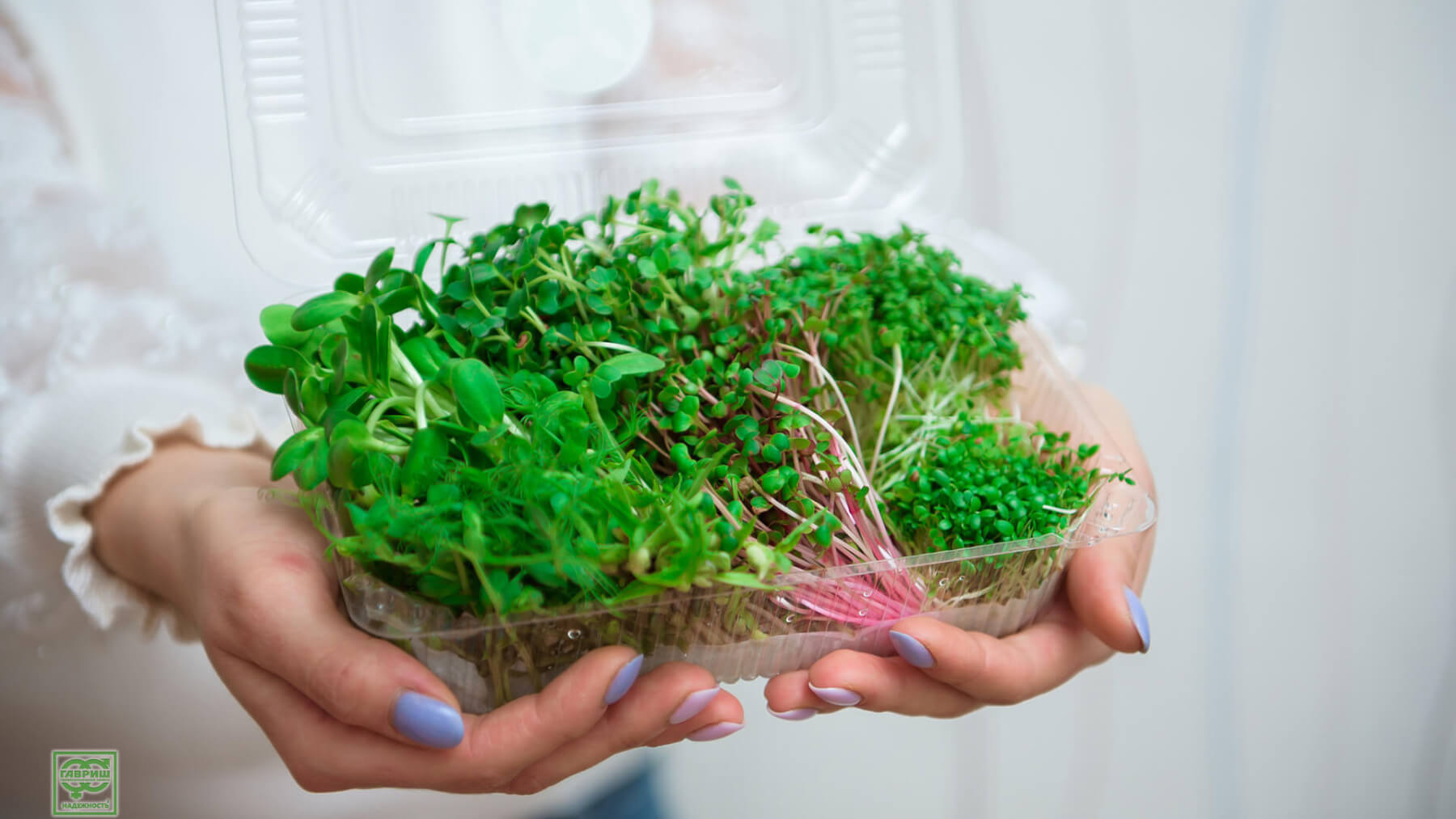 Развозить микрозелень можно прямо в контейнерах для выращивания