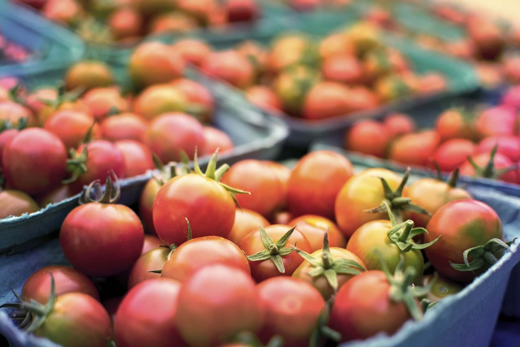 Импортные томаты дороже и менее вкусны, чем свои