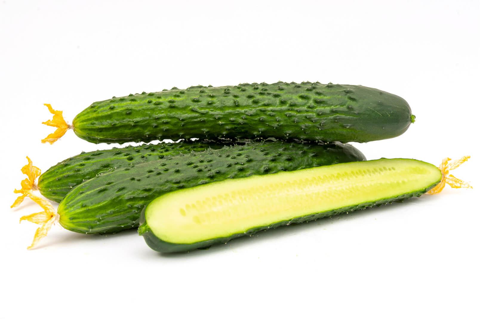 огурец стартап. огурец. огурец стартап описание. огурец стартап. огурец стартап.