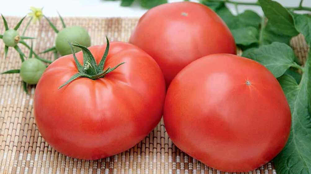 Биопрепараты для томата и огурца – натуральная сила для урожая