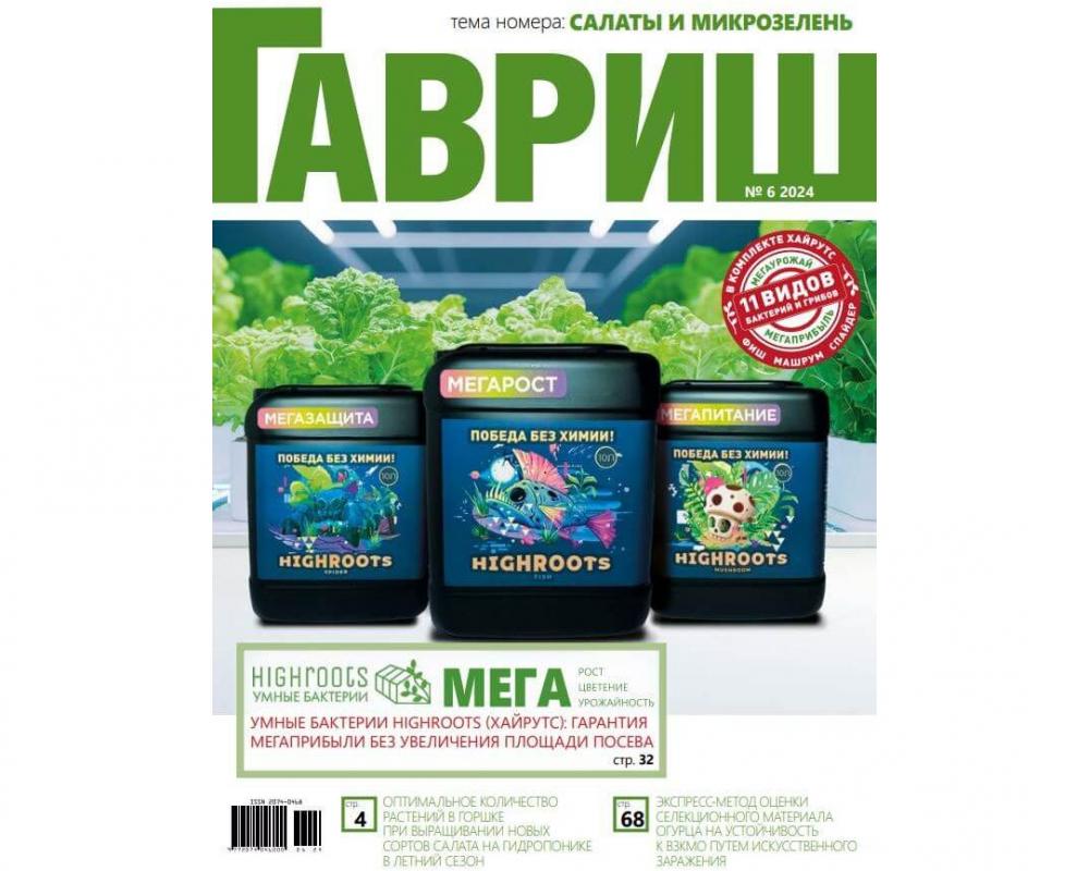 Журнал "Гавриш" №6/2024