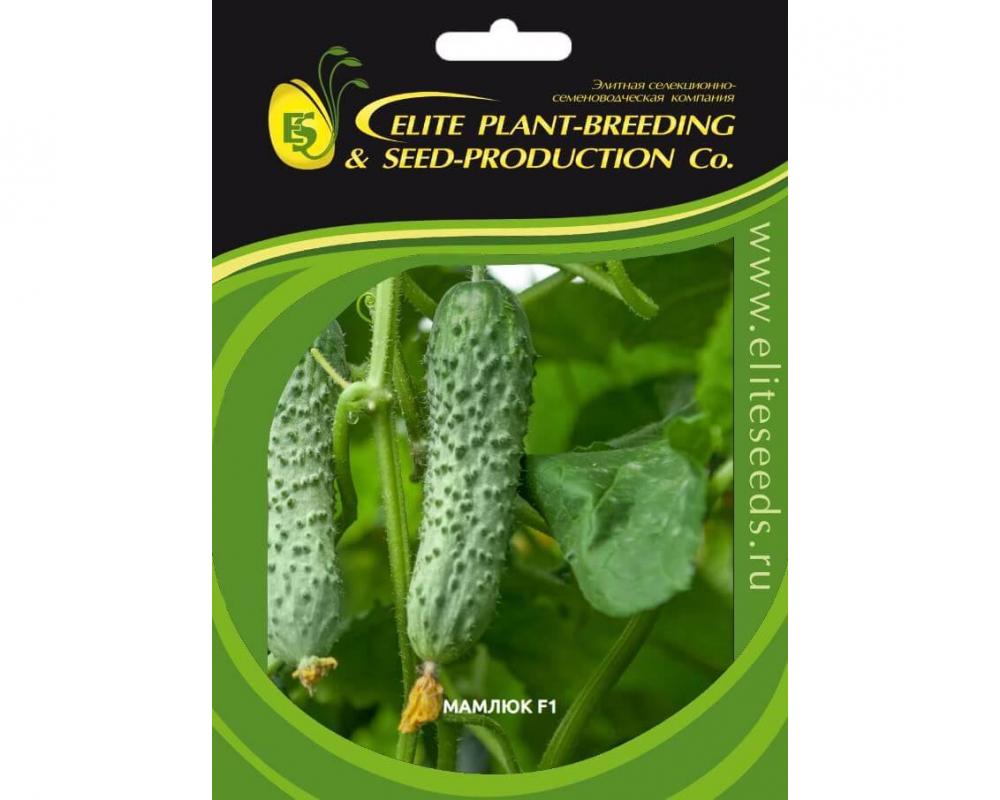 Мамлюк F1