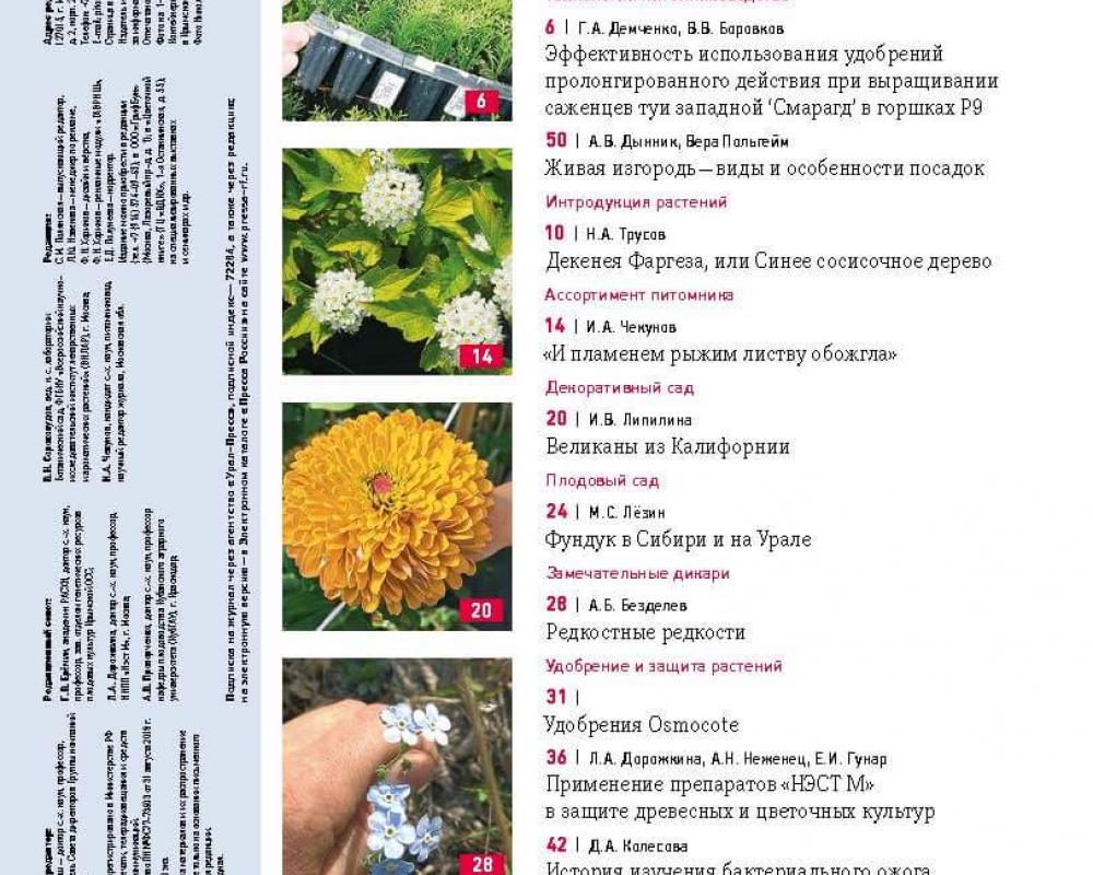 Журнал "Питомник и частный сад" № 01/2023
