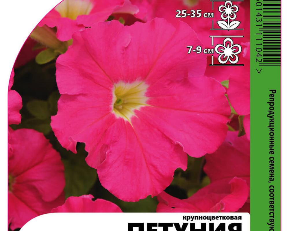 Петуния крупноцветковая Дримз Роуз F1