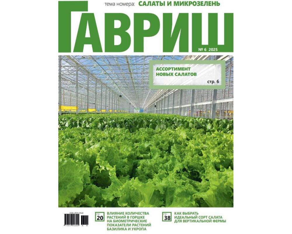 Эл. журнал "Гавриш" №6/2025
