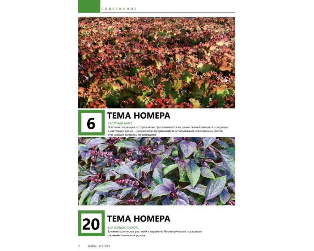 Эл. журнал "Гавриш" №6/2025