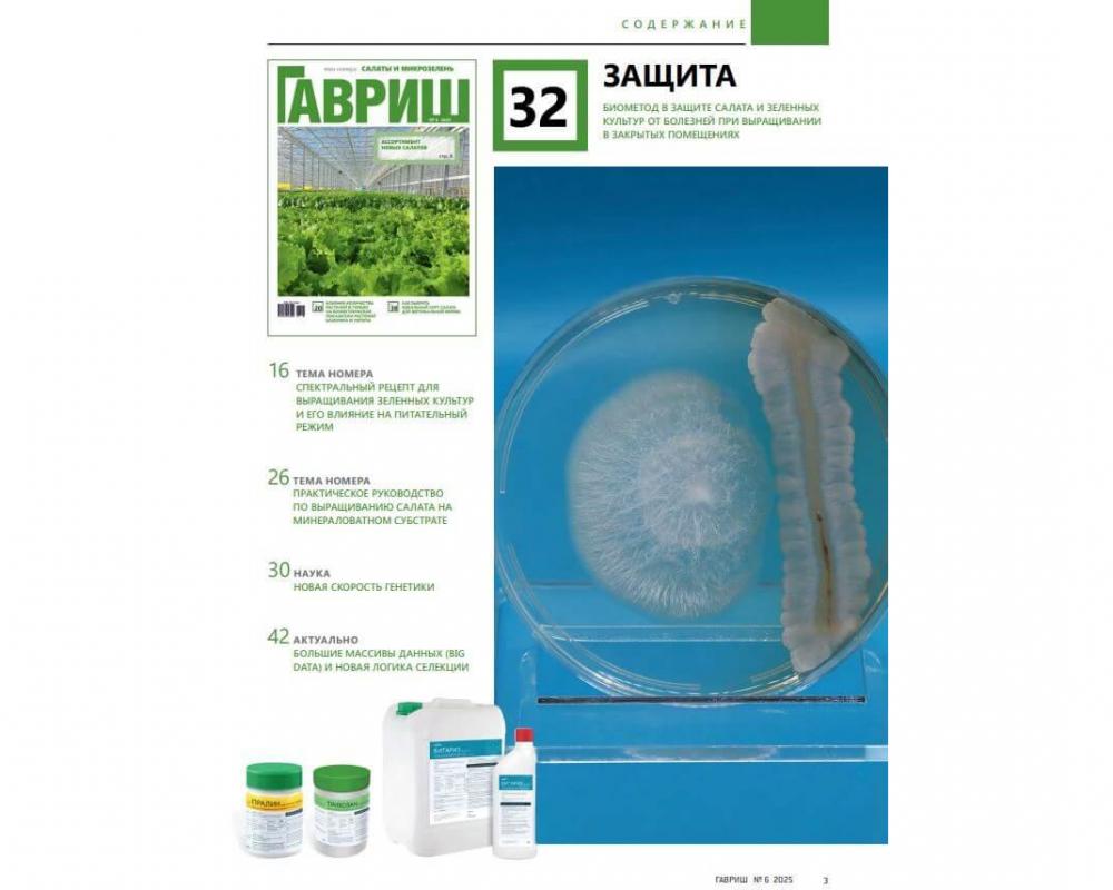 Эл. журнал "Гавриш" №6/2025