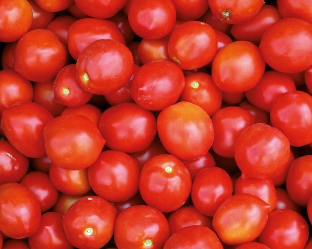 Роксет