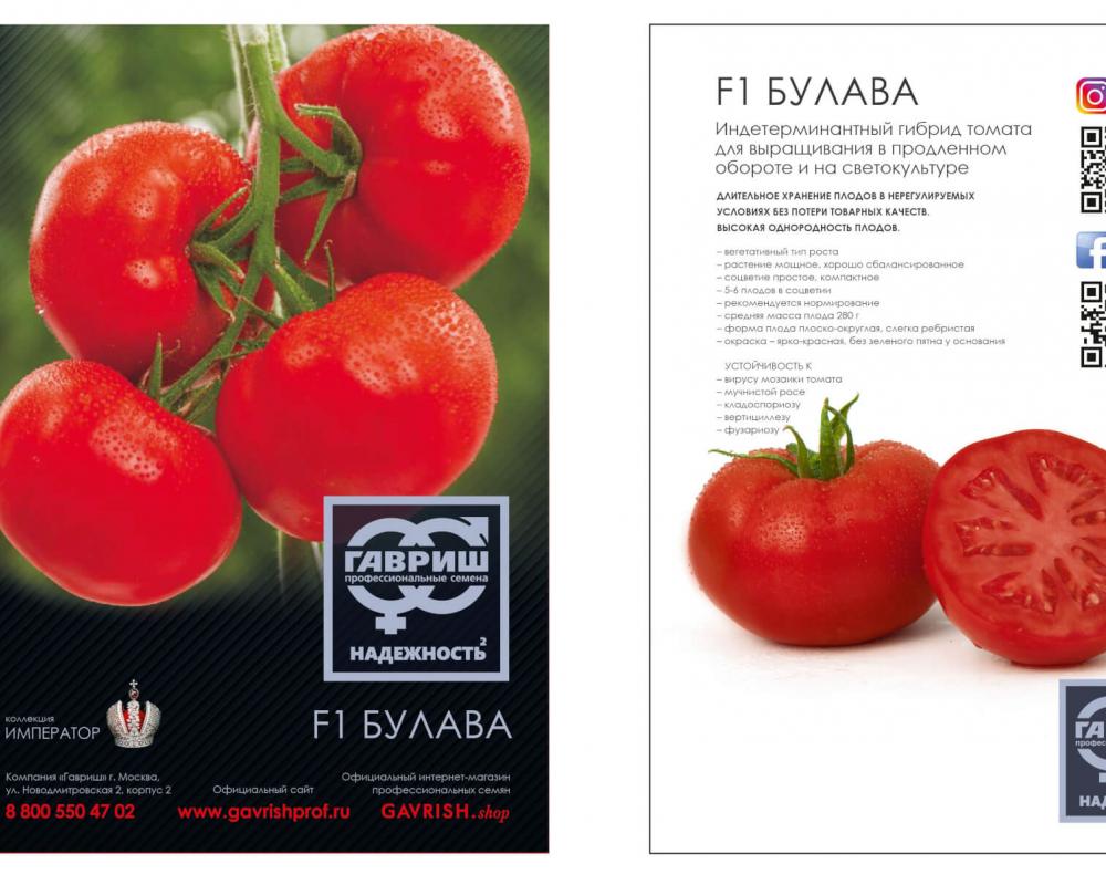 Булава F1