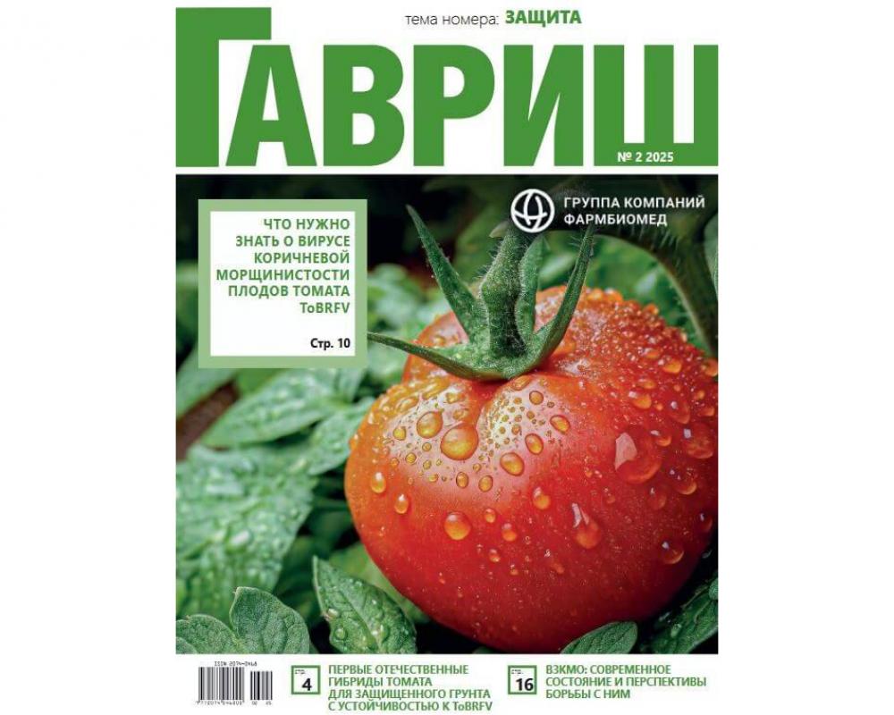 Эл. журнал "Гавриш" №2/2025