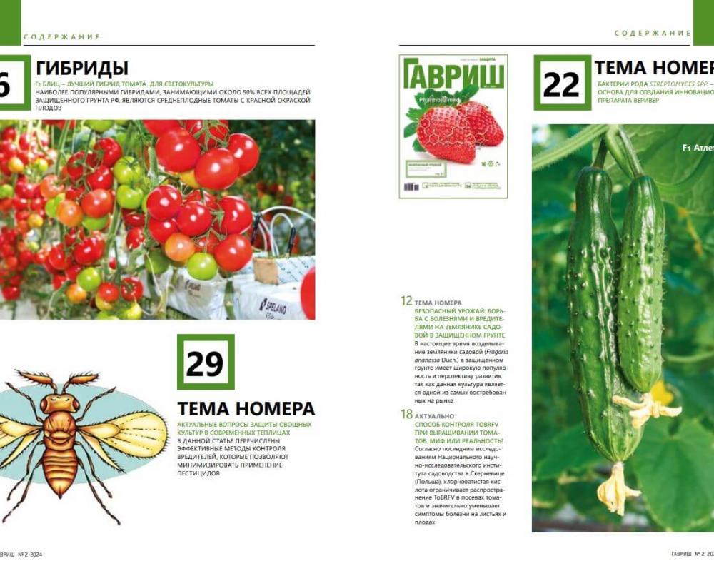 Эл. журнал "Гавриш" №2/2024
