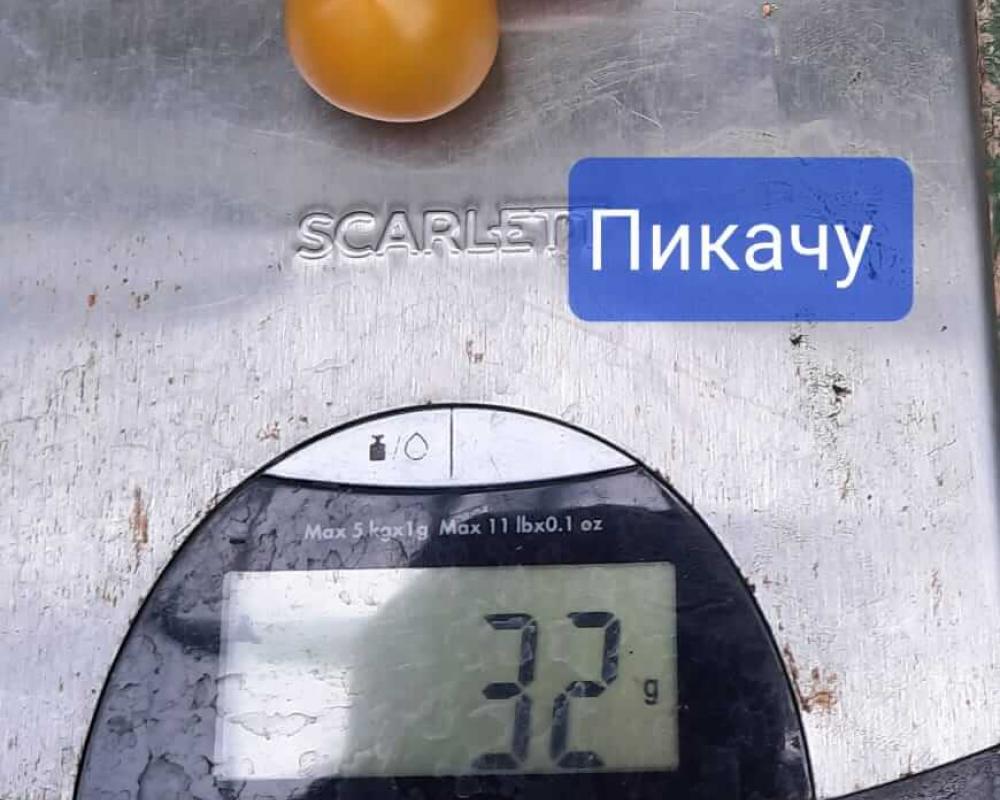 Пикачу F1