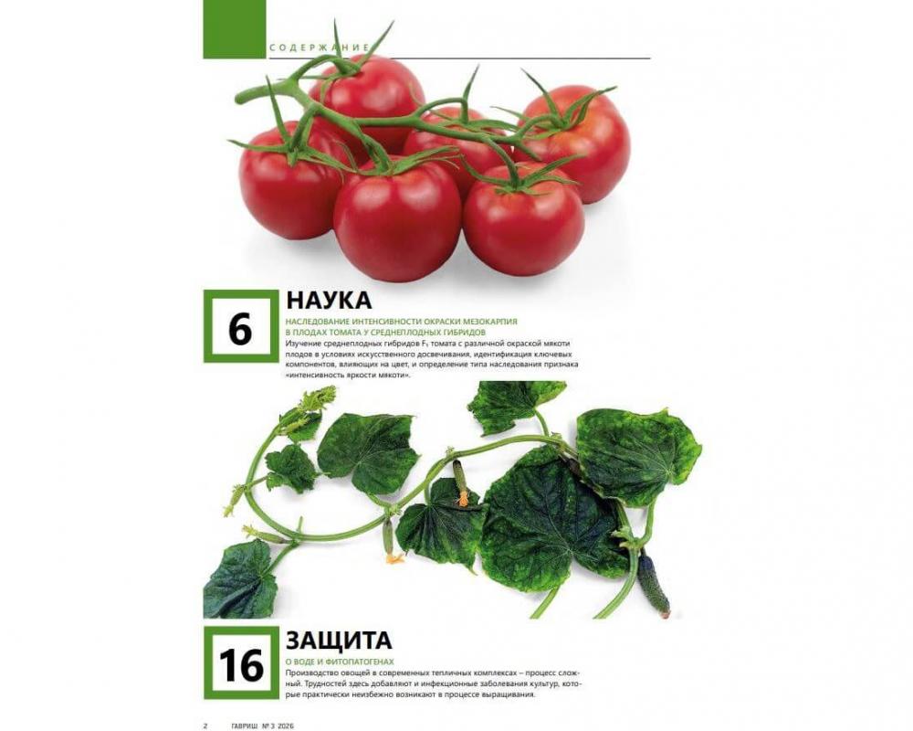 Эл. Журнал "Гавриш" №3-2026