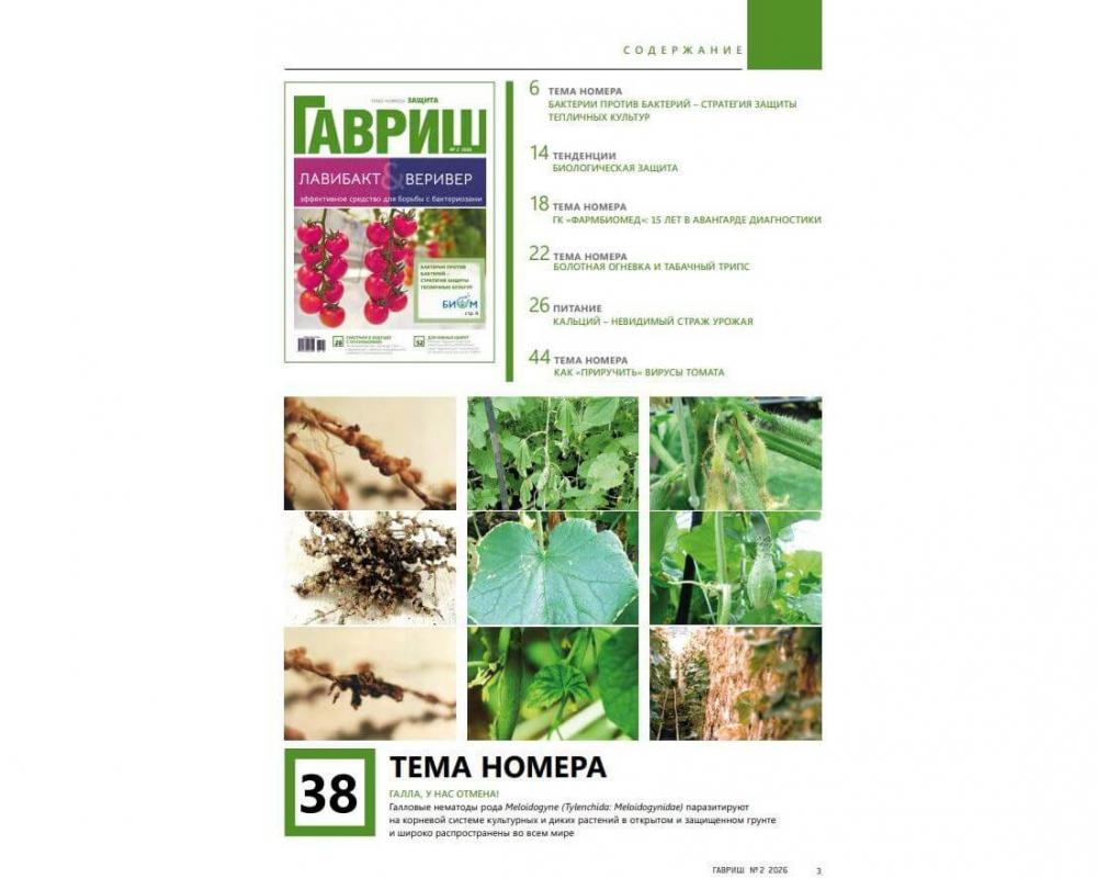 Эл. Журнал "Гавриш" №2-2026