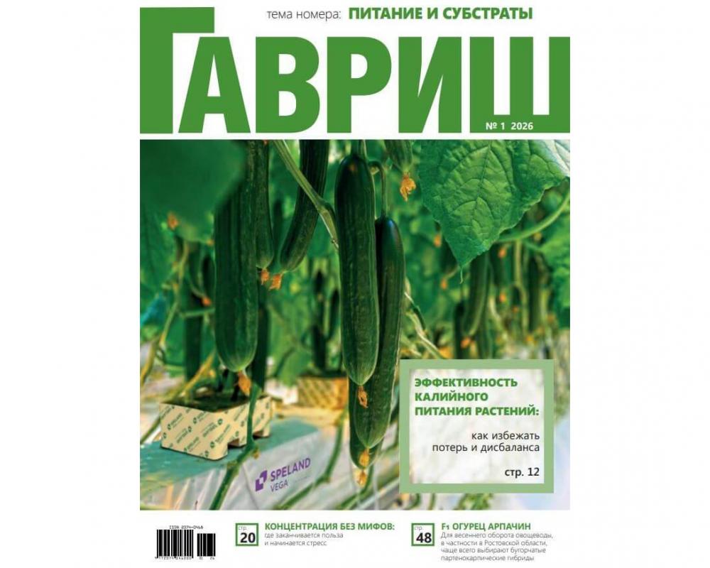Эл. Журнал "Гавриш" №1-2026