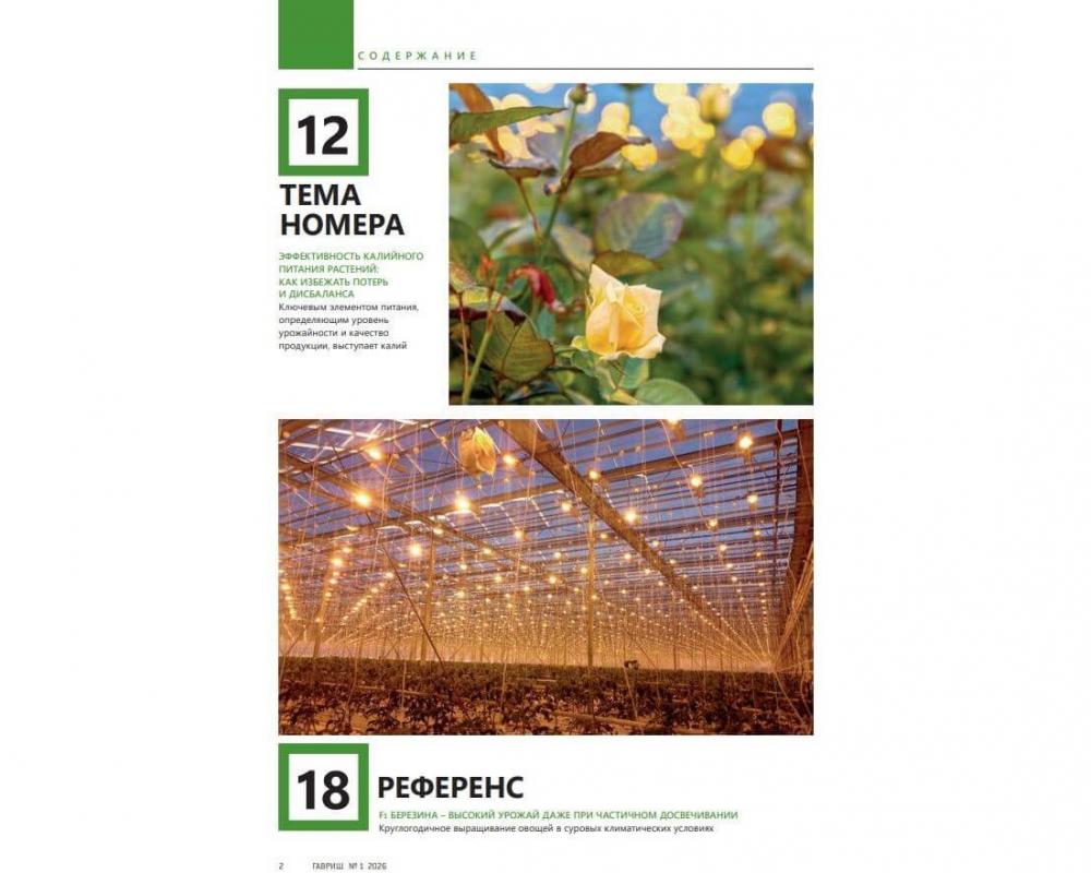 Эл. Журнал "Гавриш" №1-2026