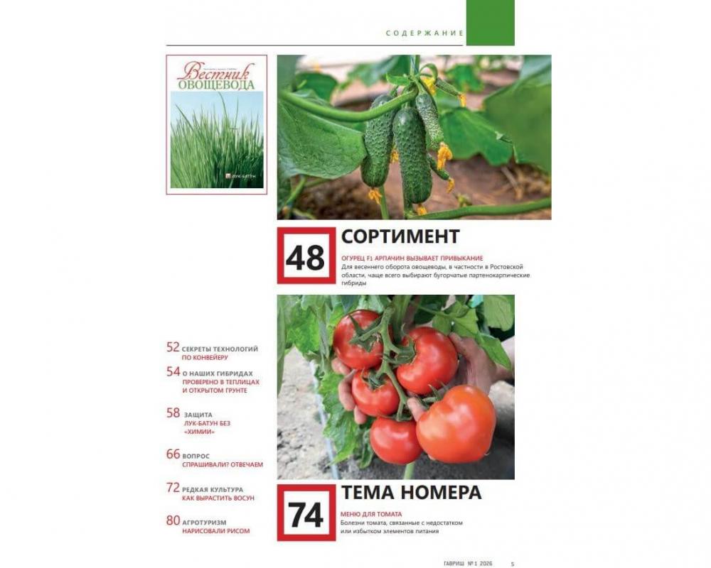 Эл. Журнал "Гавриш" №1-2026
