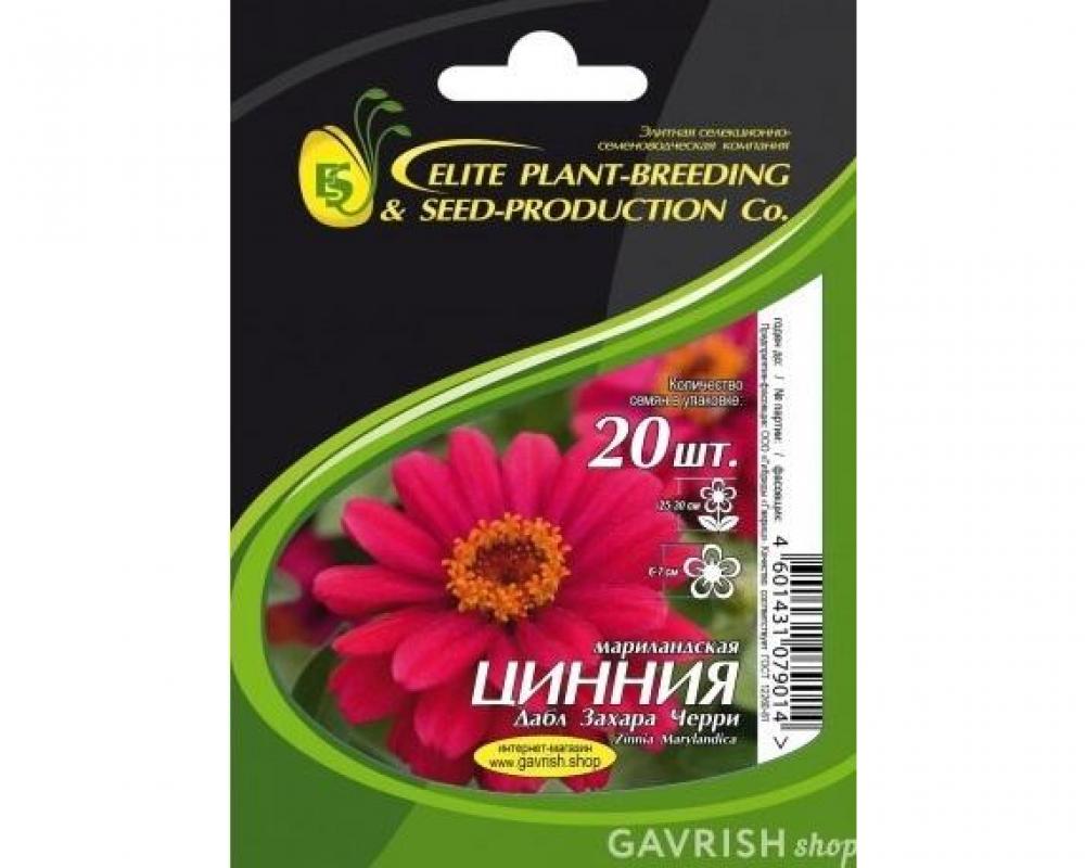 Цинния мариланд. Дабл Захара Черри