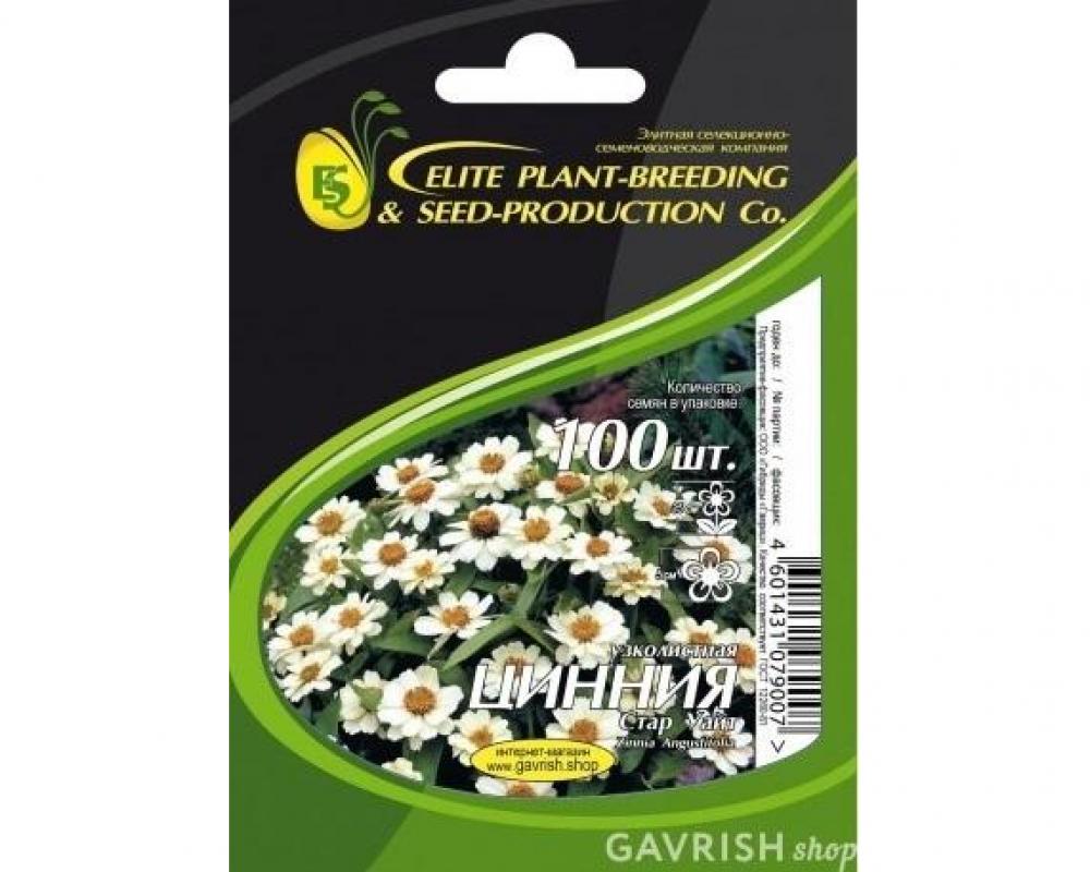 Цинния Стар Уайт