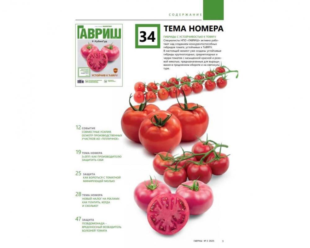 Журнал "Гавриш" №3/2025