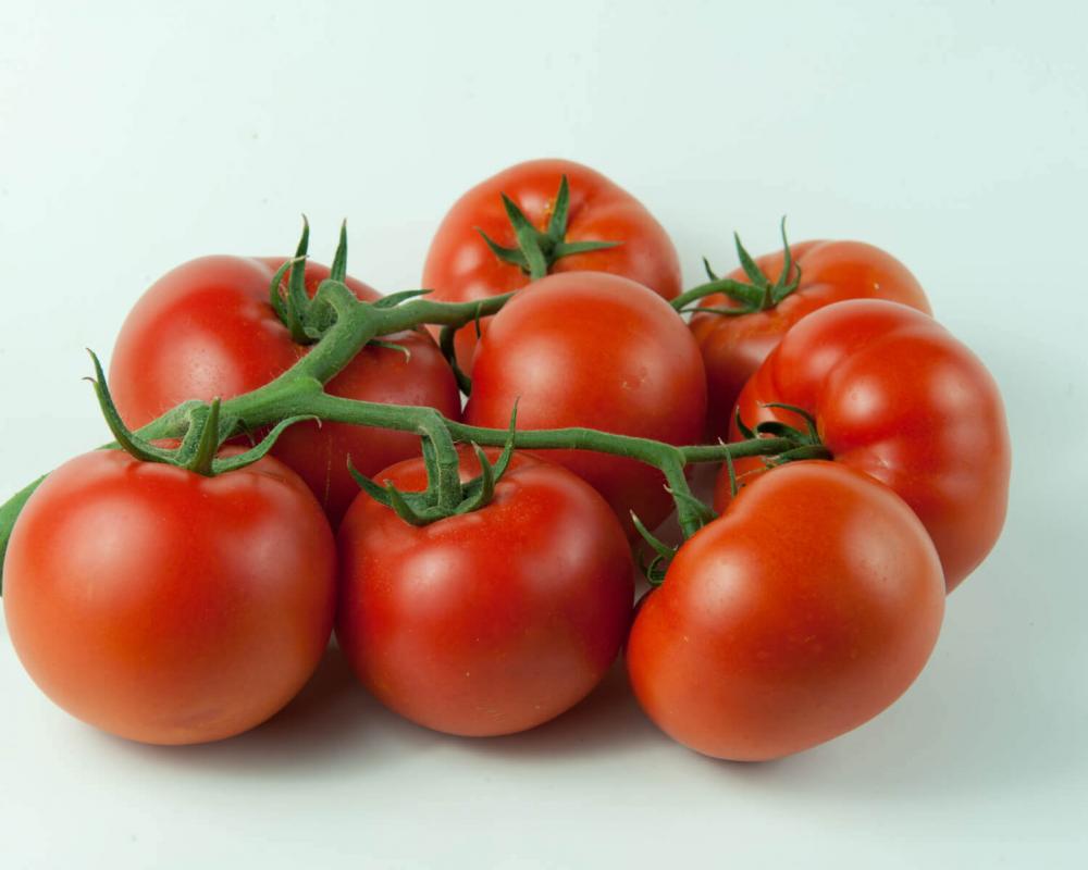 Семена томатов гибридные семена укропа принимать