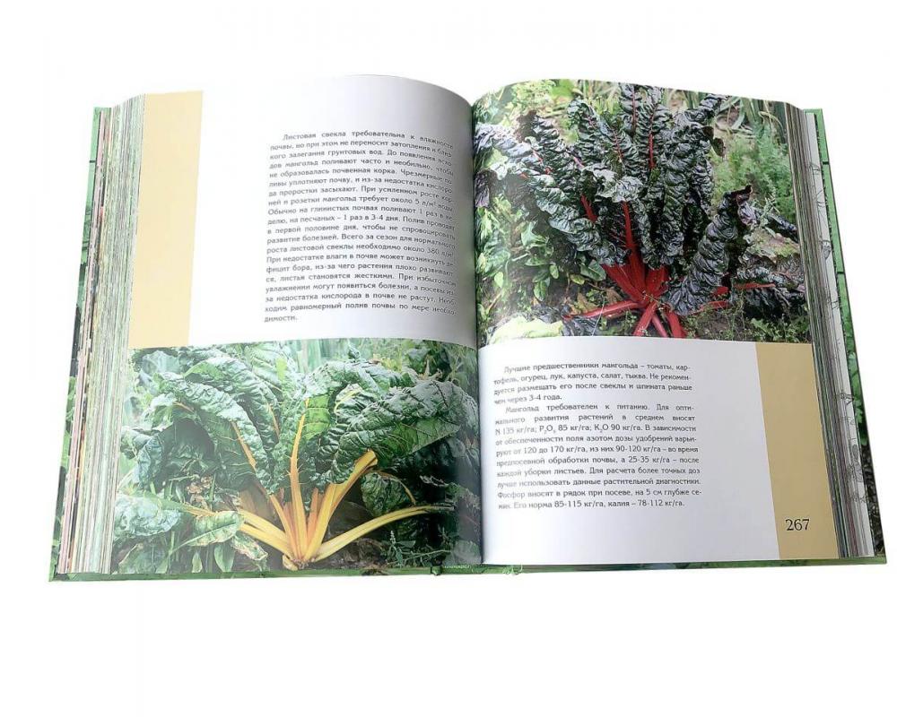 Книга Редис и 12 зеленных культур
