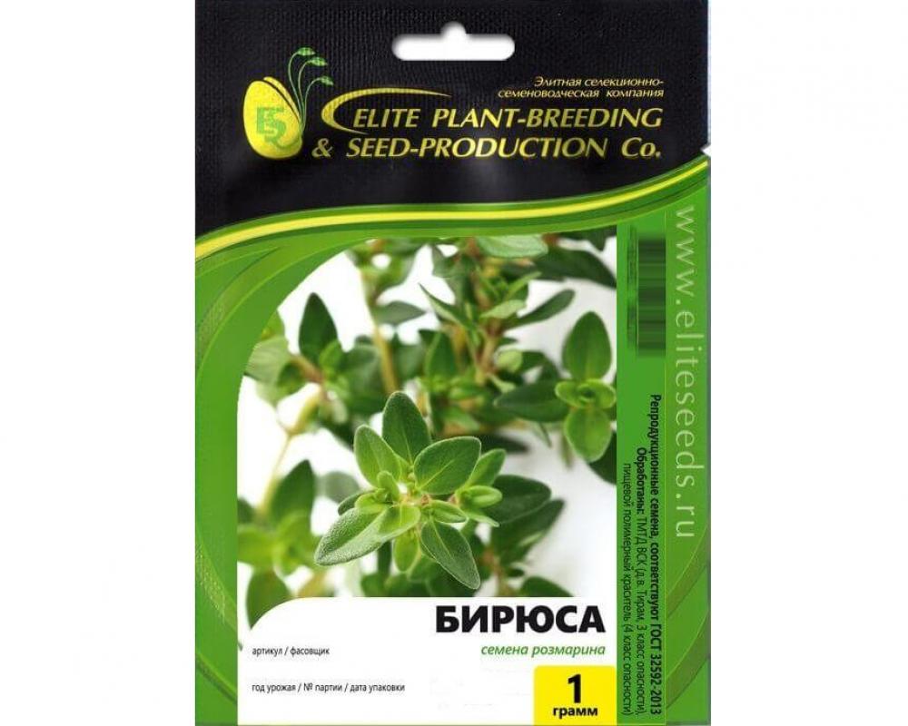 Розмарин Бирюса