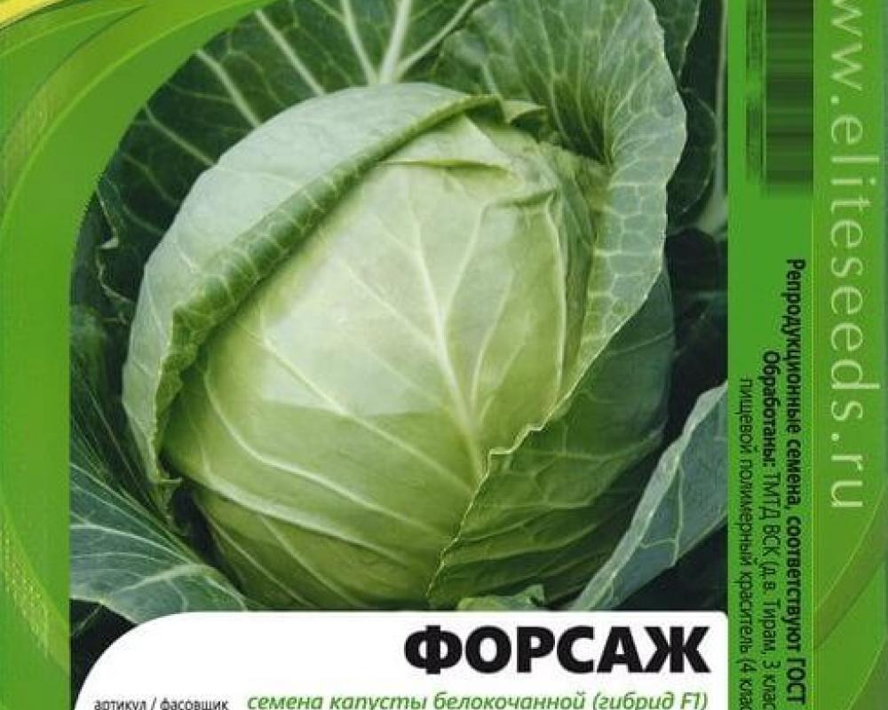 Форсаж F1