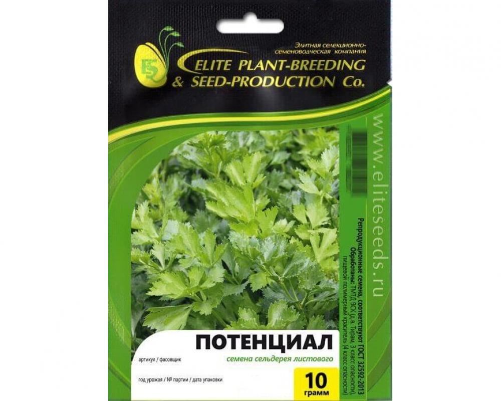 Сельдерей Потенциал
