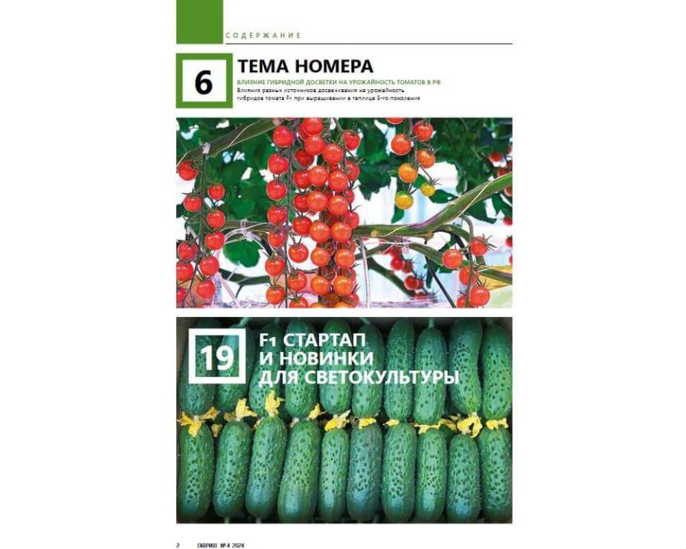 Журнал "Гавриш" №4/2024