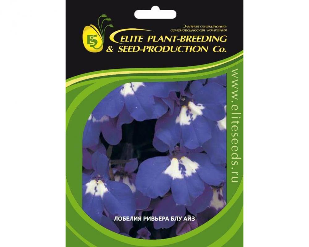 Лобелия Ривьера Блу Айз
