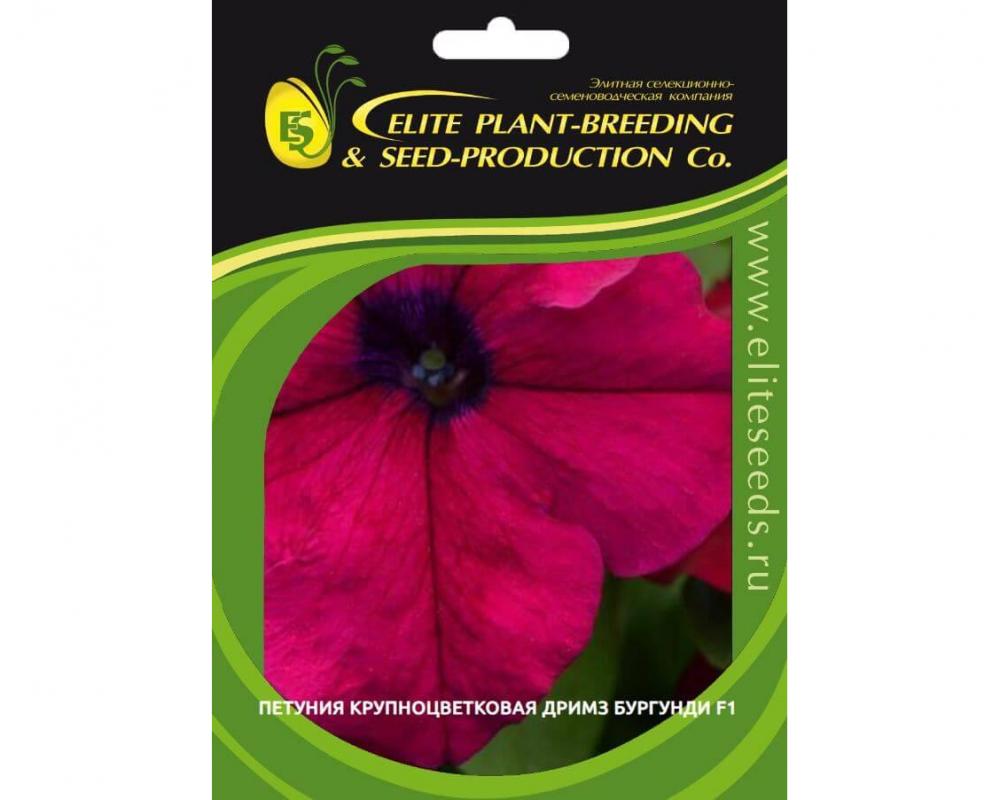 Петуния крупноцветковая Дримз Бургунди F1