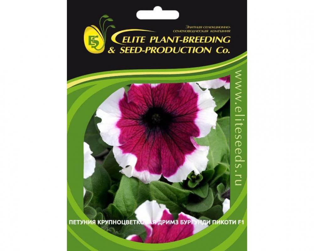 Петуния крупноцветковая Дримз Бургунди Пикоти F1