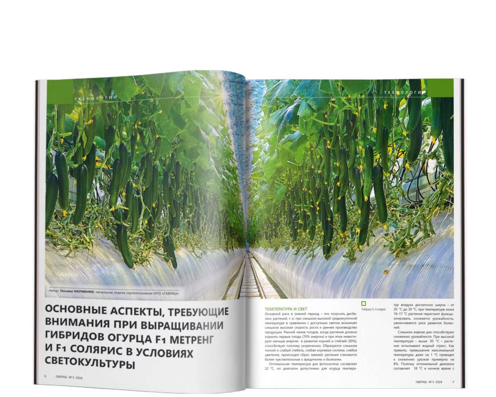 Дайджест ГАВРИШ 2024  культура огурца
