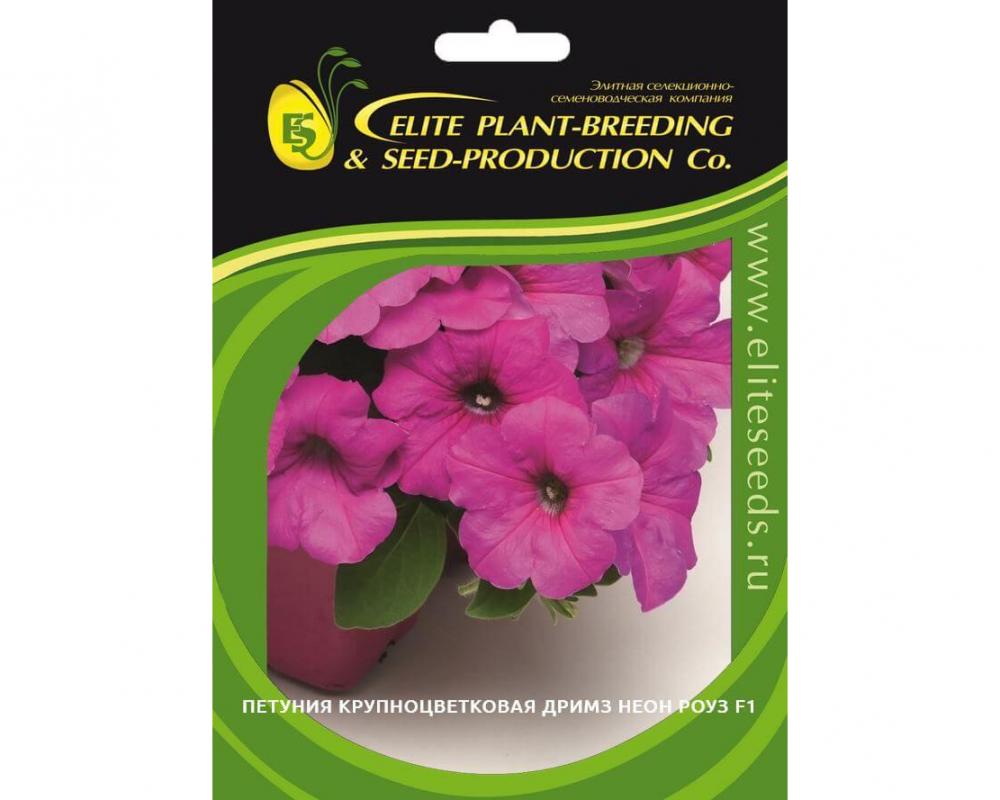 Петуния крупноцветковая Дримз Неон Роуз F1