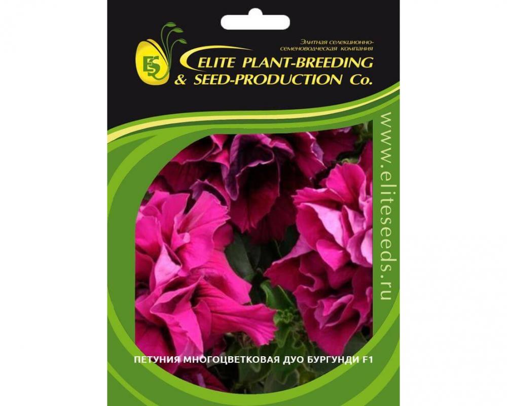 Петуния многоцветковая Дуо Бургунди F1